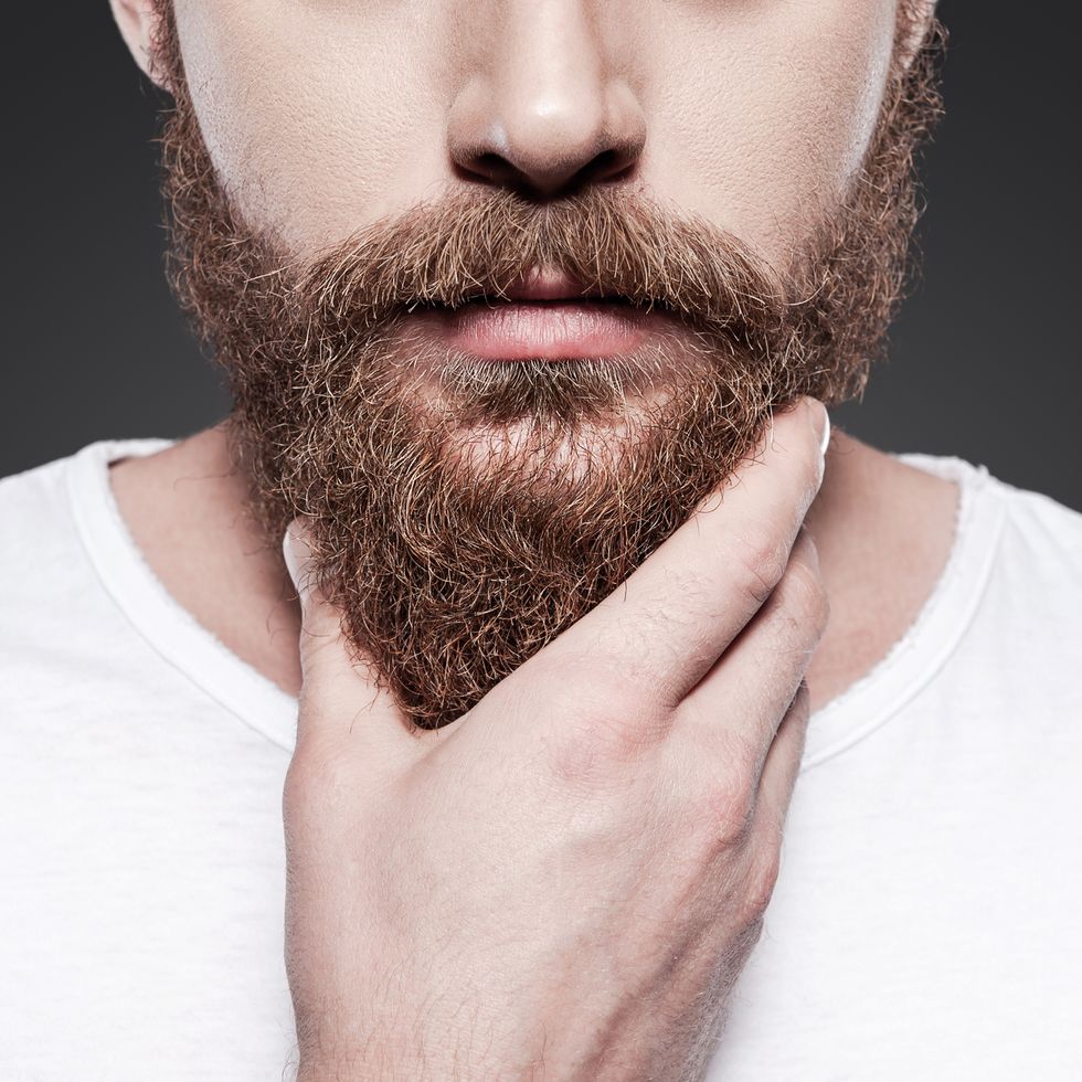 close up of young bearded man touching his beard while standing against grey background