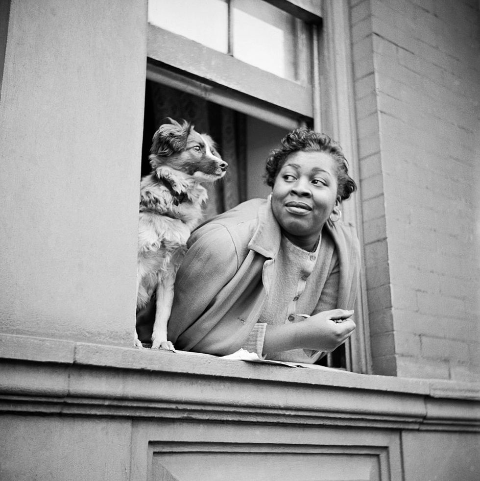 a woman and her dog take in the sights as they look out from their open window in harlem, new york, new york, may 1943 photo by gordon parksunderwood archivesgetty images