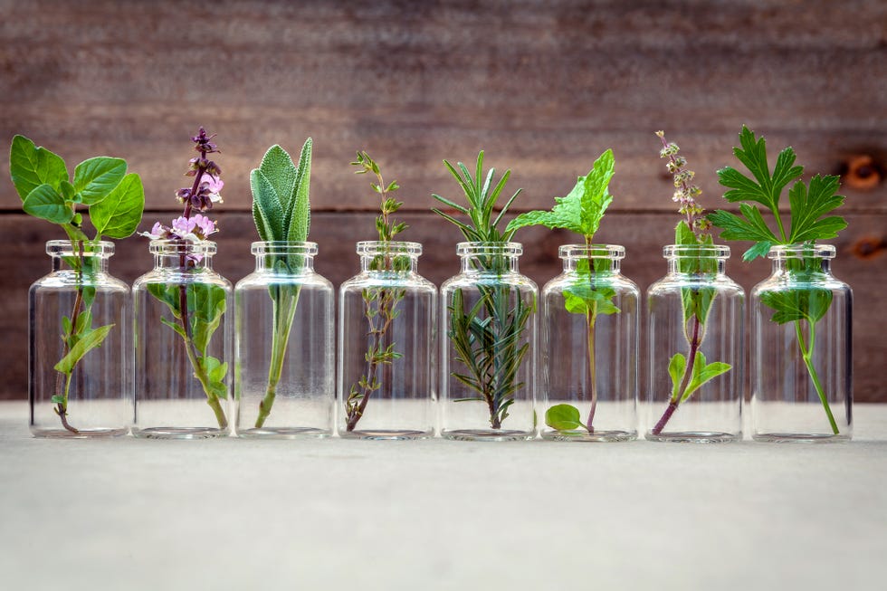 do essential oils work