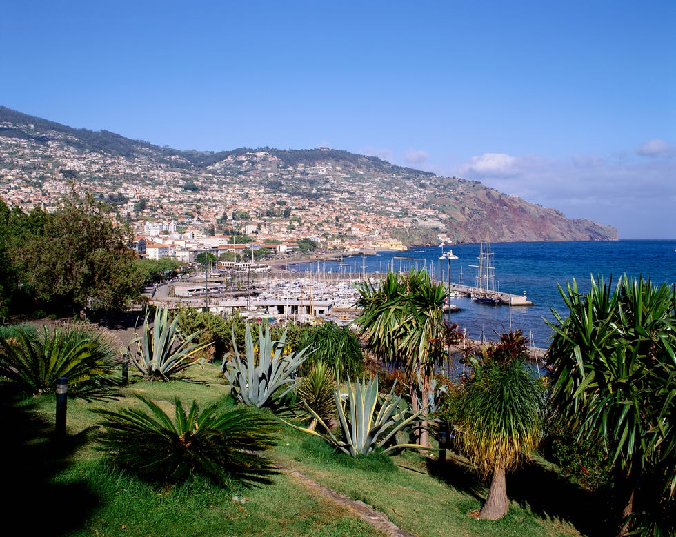 madeira gardens