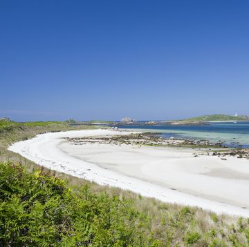 a beach on the island of tresco, one of the scilly isles, off south west cornwall, uk tresco is renowned for its lush climate and ability to grow tropical plants due to the influence of the gulf stream location tresco, england, uk
