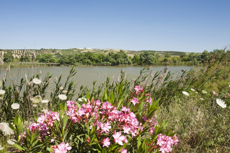 sendero del guadiamar