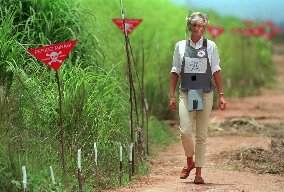 Princess Diana Prince harry Africa landmines
