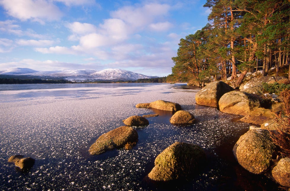 loch garten is fringed with glen more forest and snow covered mountains rise behind for renault article