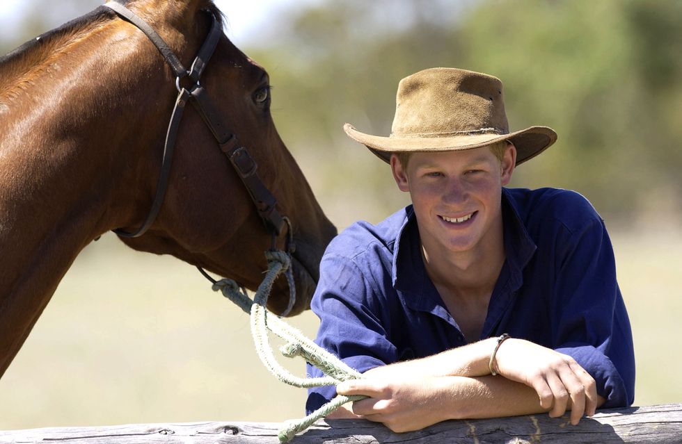 tooloombilla, australia november 27 prince harry works as a jackaroo cowboy mustering charolais and shorthorn bulls on a cattle ranch in the outback in australia owned by annie and noel hill, friends of his late mother he wears the traditional akubra leather hat and rides a horse called guardsman ranch life photo by tim graham photo library via getty images