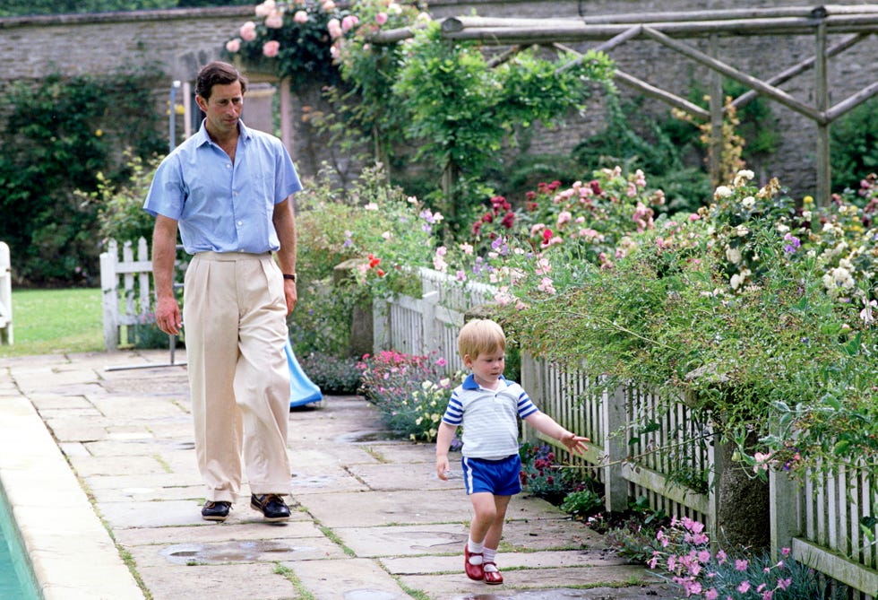 prince charles and prince harry by the swimming pool in the garden at their home highgrove house