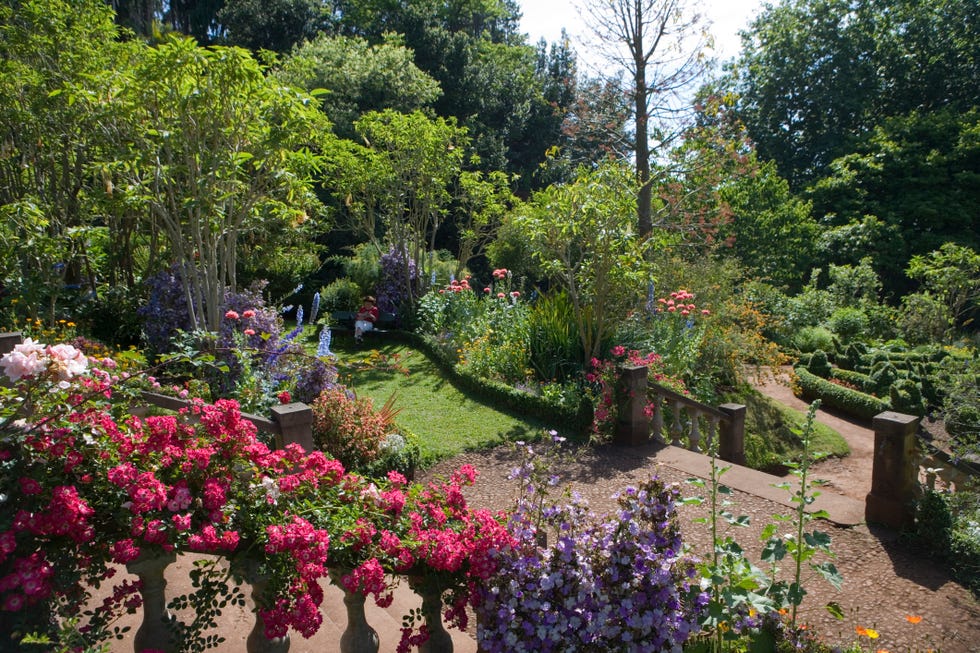madeira gardens