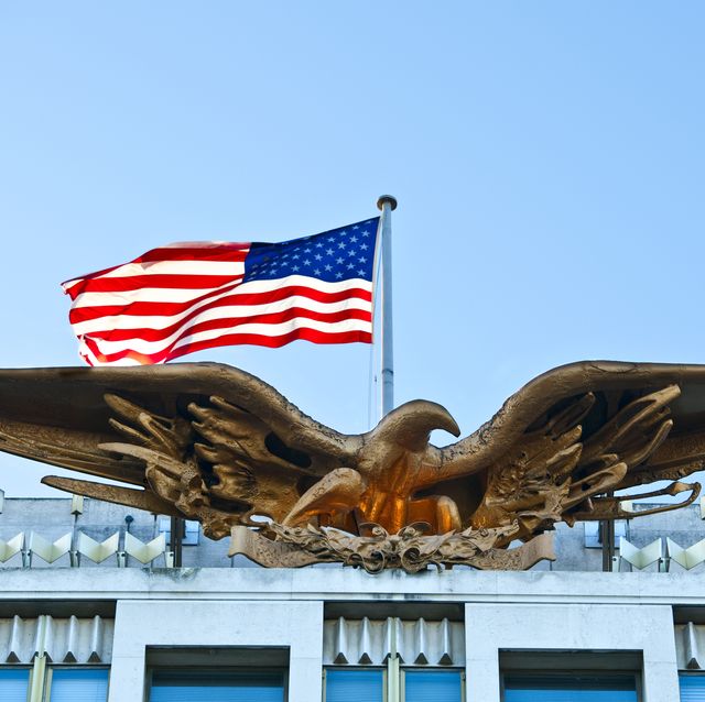 embassy bald eagle and flag