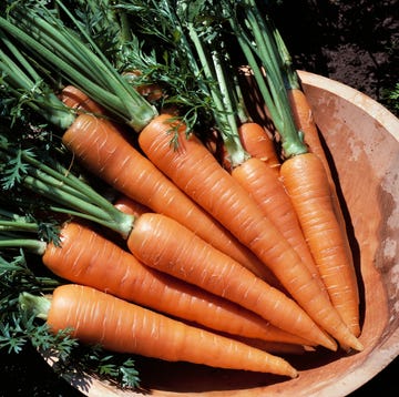 Zanahorias zanahorias