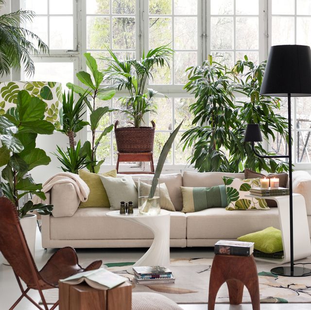 living room with potted plants