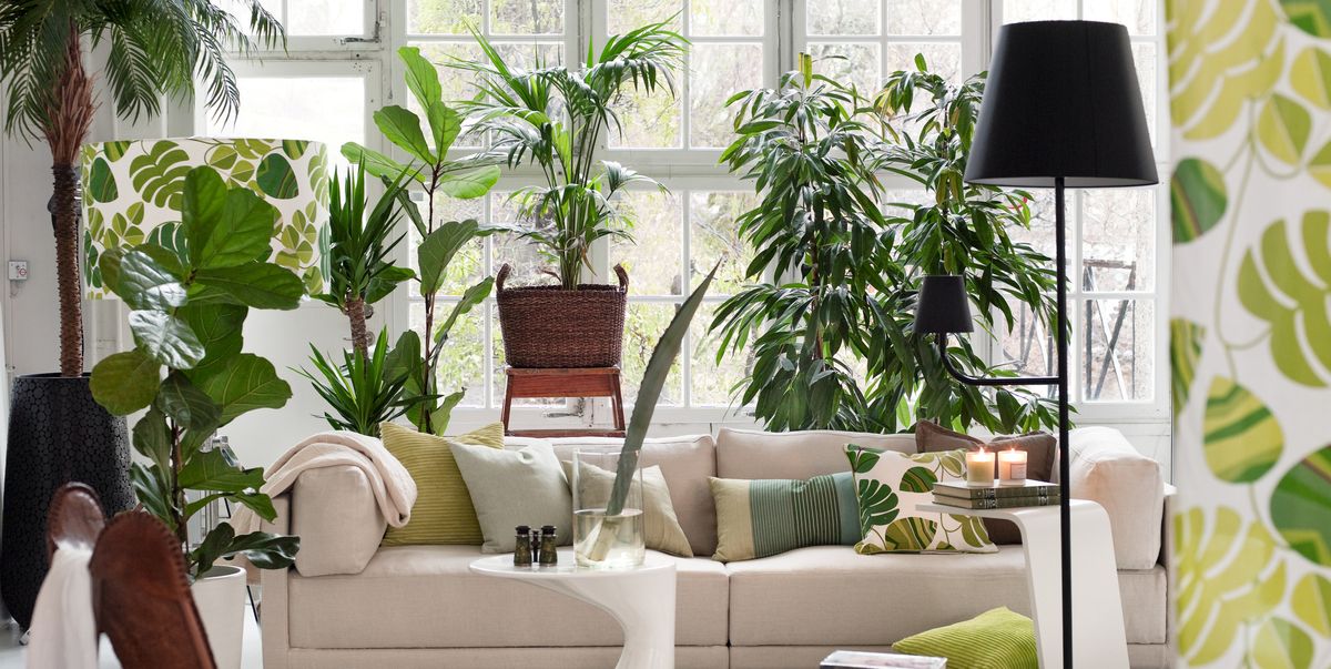 living room with potted plants