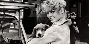 Brigitte Bardot Holding Dog