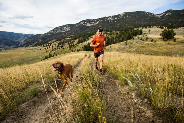 man hardlopend met een hond in de natuur