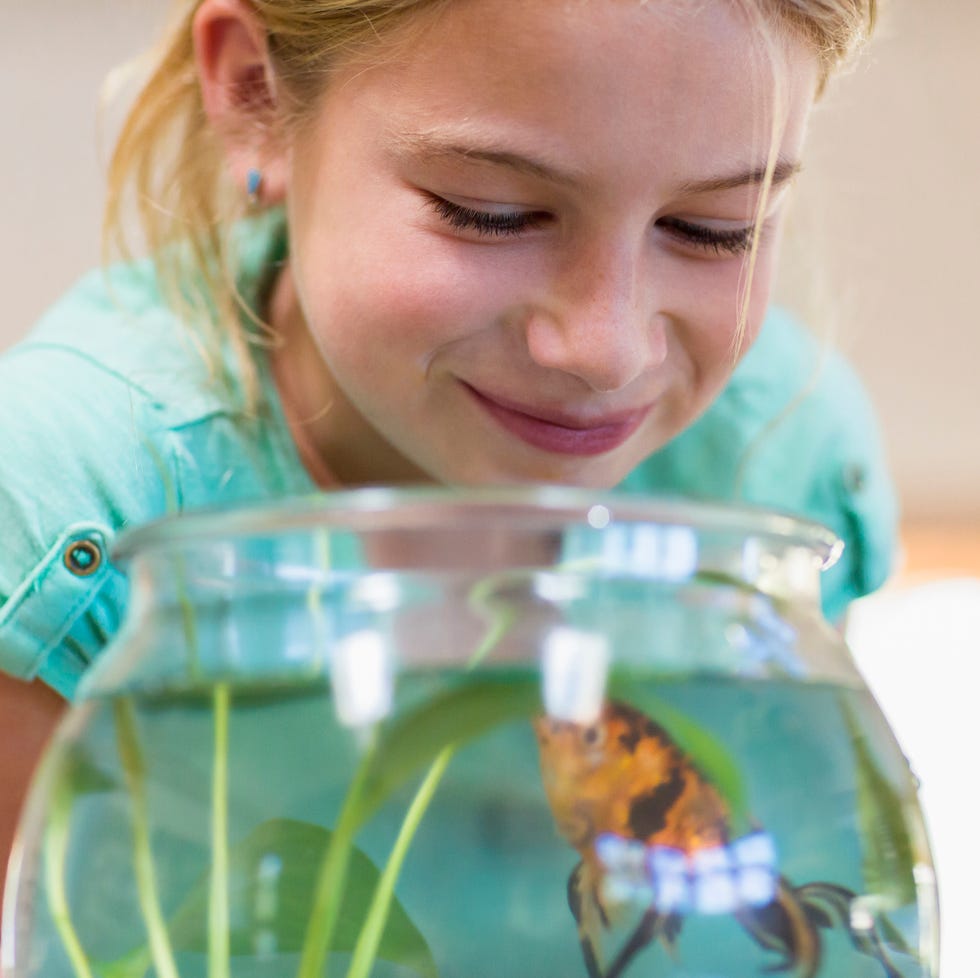 100 Unique Name Ideas For Your Pet Fish 100-unique-name-ideas-for-your-pet-fish