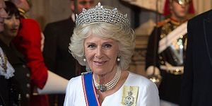 london, england   may 18  camilla, duchess of cornwall arrives at the state opening of parliament on may 18, 2016 in london, england the state opening of parliament is the formal start of the parliamentary year this years queens speech, setting out the governments agenda for the coming session, is expected to outline policy on prison reform, tuition fee rises and reveal the potential site of a uk spaceport photo by eddie mulholland   wpa poolgetty images