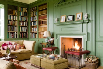 Cozy living room with a fireplace and bookshelves