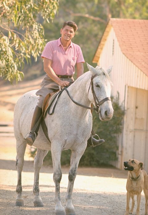 california, united states   1965  ca governor candidate ronald reagan riding horse outside at home on ranch  photo by bill raylife magazinethe life picture collection via getty images