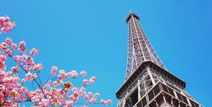 賞櫻,櫻花,景點,巴黎,紐約,溫哥華,粉紅,日本,韓國,櫻花季