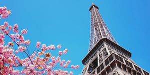 賞櫻,櫻花,景點,巴黎,紐約,溫哥華,粉紅,日本,韓國,櫻花季