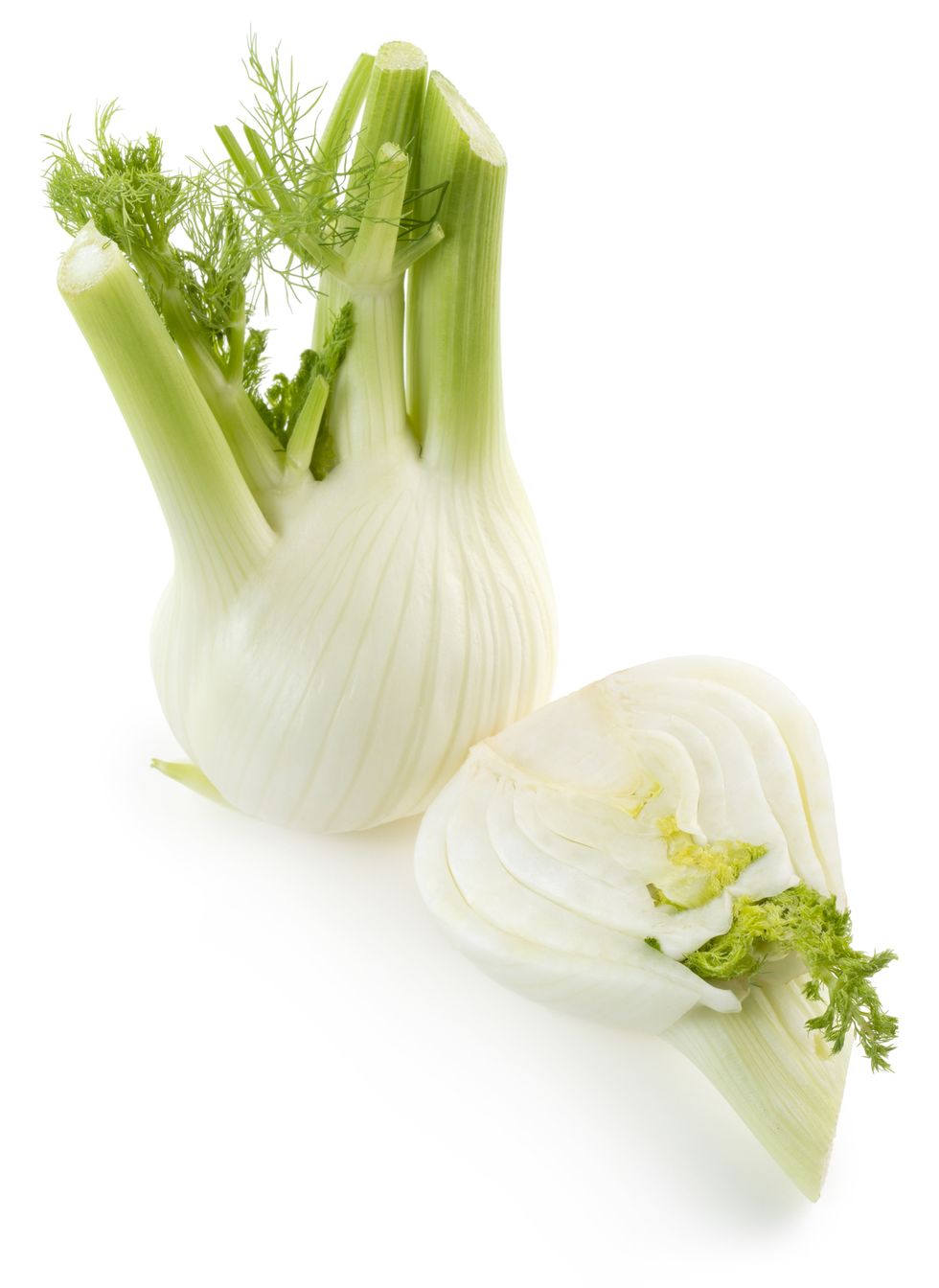 Fennel, Ingredient, Food, Vegetable, Plant, Celery, Herb, Produce, 