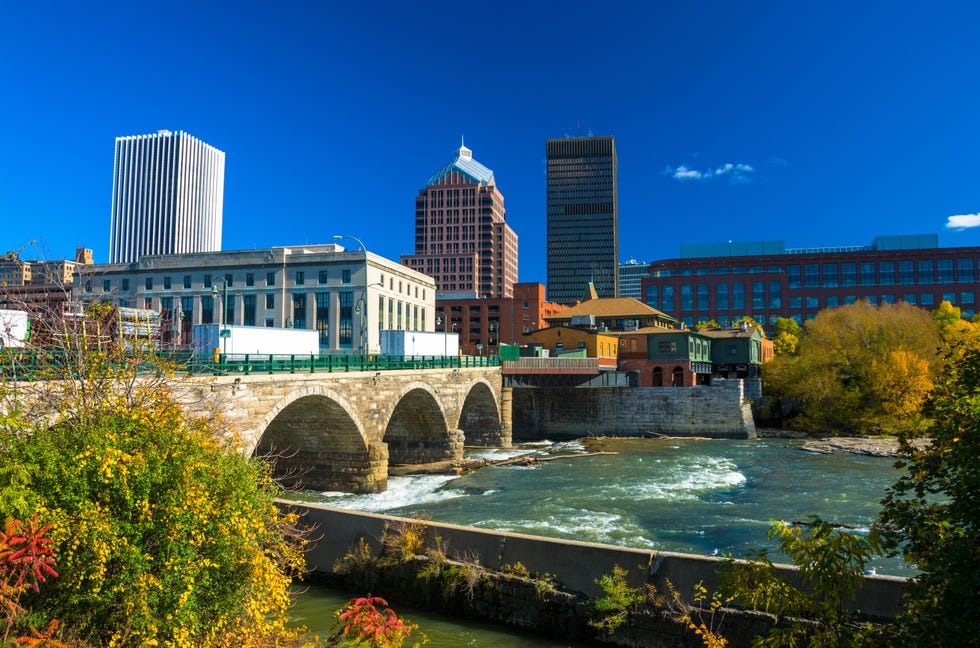 downtown rochester skyline in the background with a stone bridge, the genesee river, and plants in the foreground picture taken during autumn