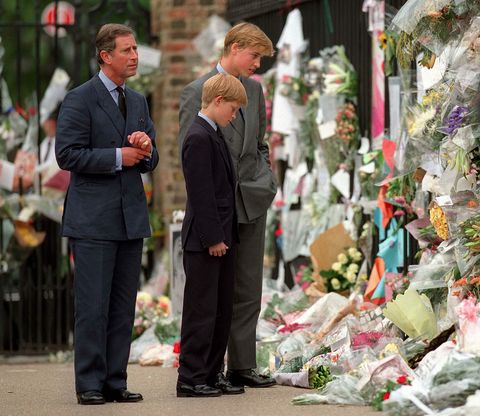 Prince Charles, Prince Harry, and Prince William view an impromptu memorial for Princess Diana.​