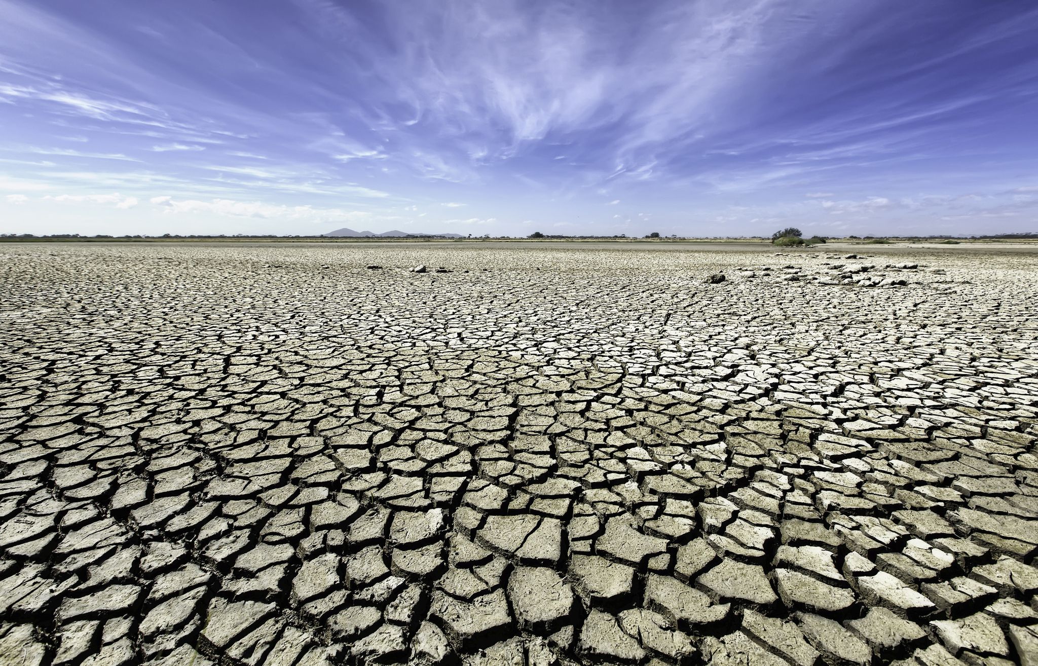 Drought, Sky, Soil, Water, Dry lake, Horizon, Landscape, Cloud, Tree, Cobblestone, 