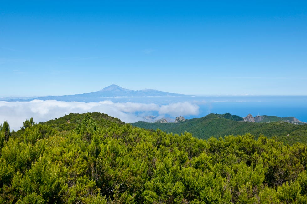 monte ruta senderismo