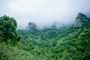 parque nacional de garajonay