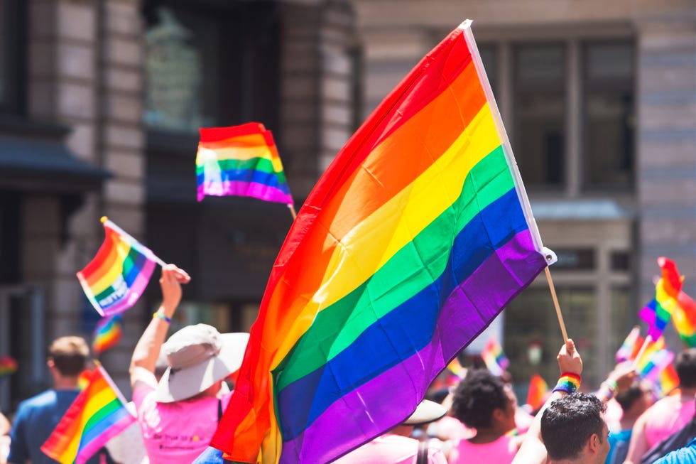 Bandiera Arcobaleno Lgbt Movimento Gay Pride Portachiavi