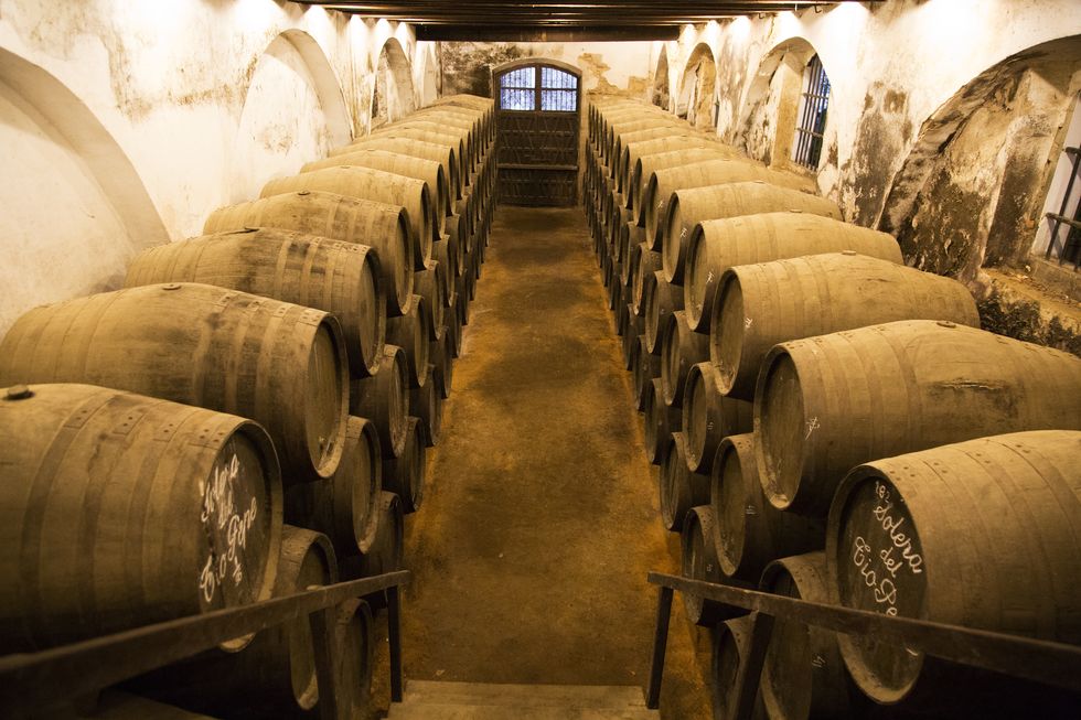 Winery, Barrel, Wine cellar, Brewery, 