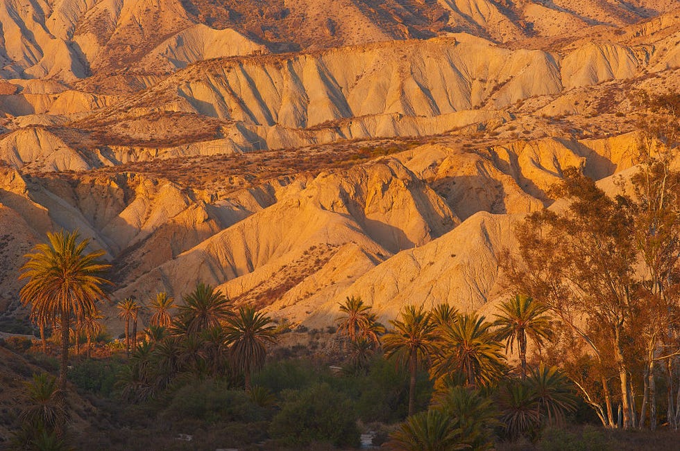 ruta del desierto de tabernas