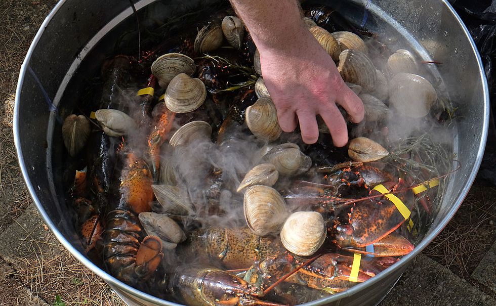 Food, Curanto, New england clam bake, Seafood, Seafood boil, Dish, Cuisine, Boiling, Crab boil, Cookware and bakeware, 