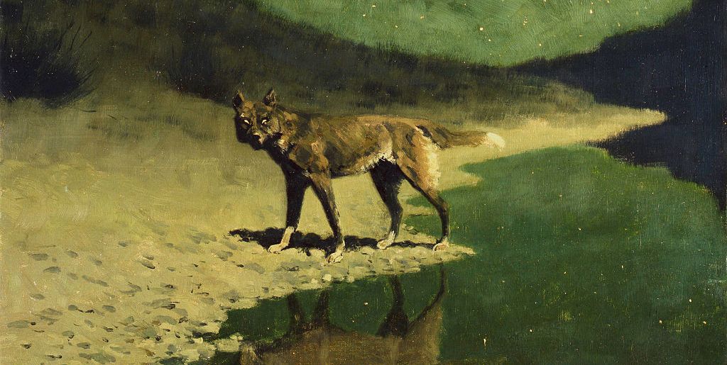 Волк с Западного побережья, 2002. Stanley Berkeley w is for Wolf.