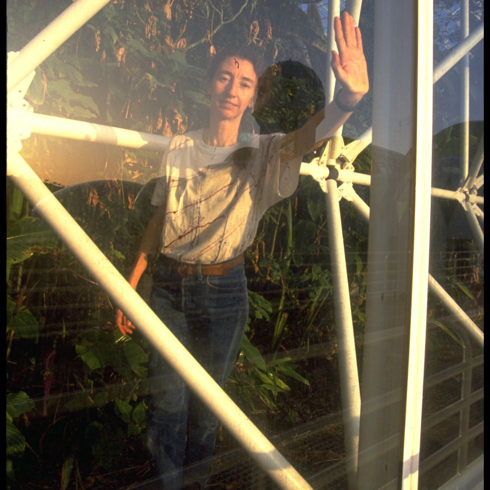 the biospherian linda leigh as seen through one of the glass panels of the enclosed ecosystem biosphere 2 in oracle, arizona, september 26, 1991 photo by visions of america llccorbis via getty images