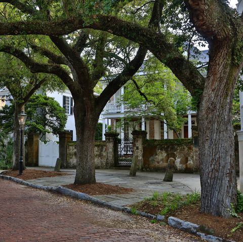 southern mansions in the old historical section of charleston, south carolina