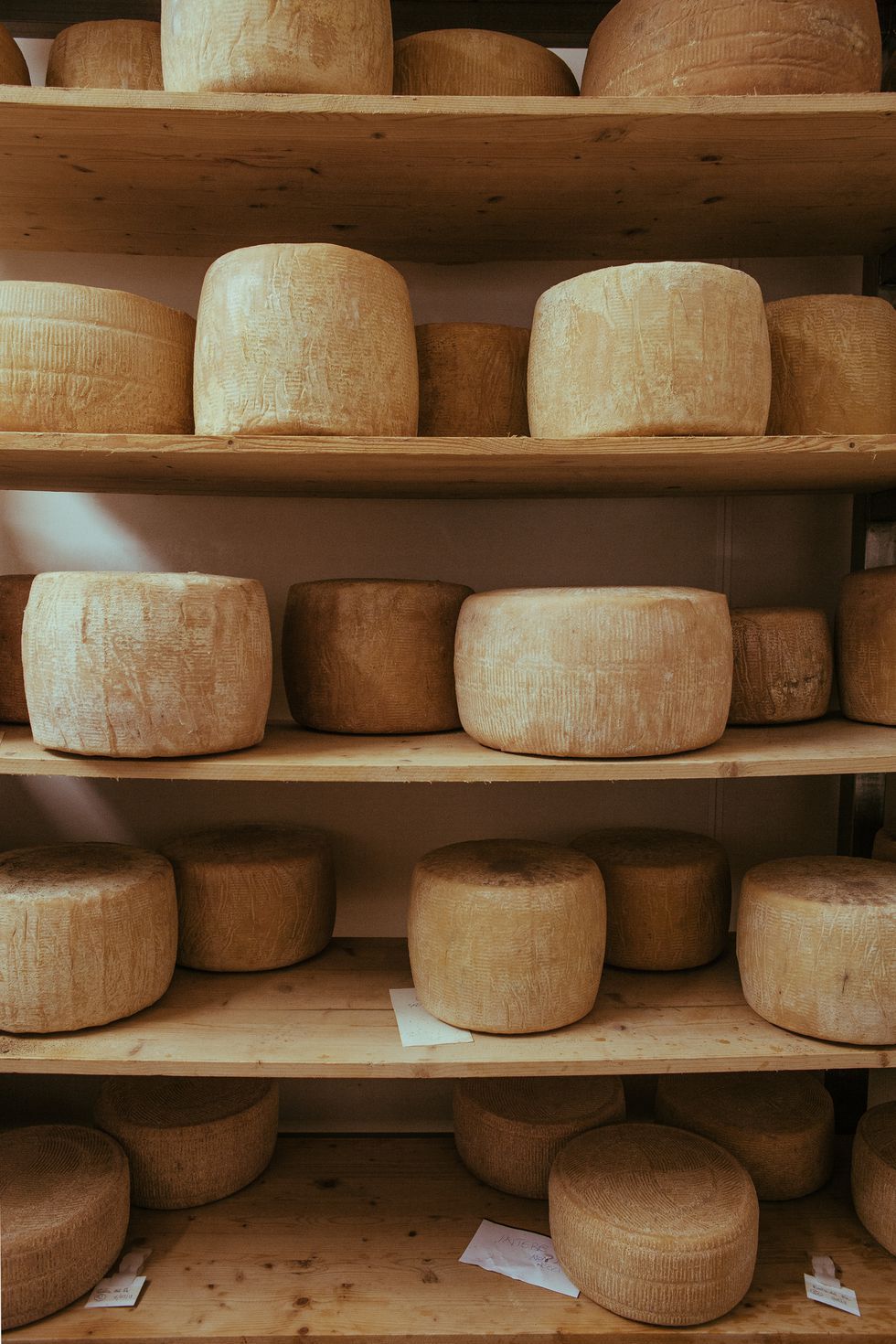 earthenware, Dairy, Gruyère cheese, Pottery, Wood, Cheese, Cheesemaking, Parmigiano-reggiano, Tableware, Bowl, 