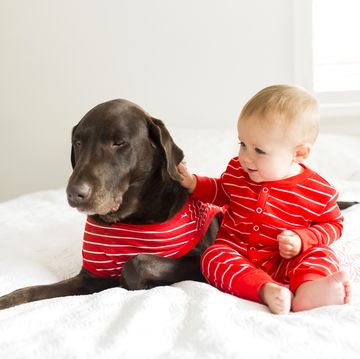 Bambino e cane