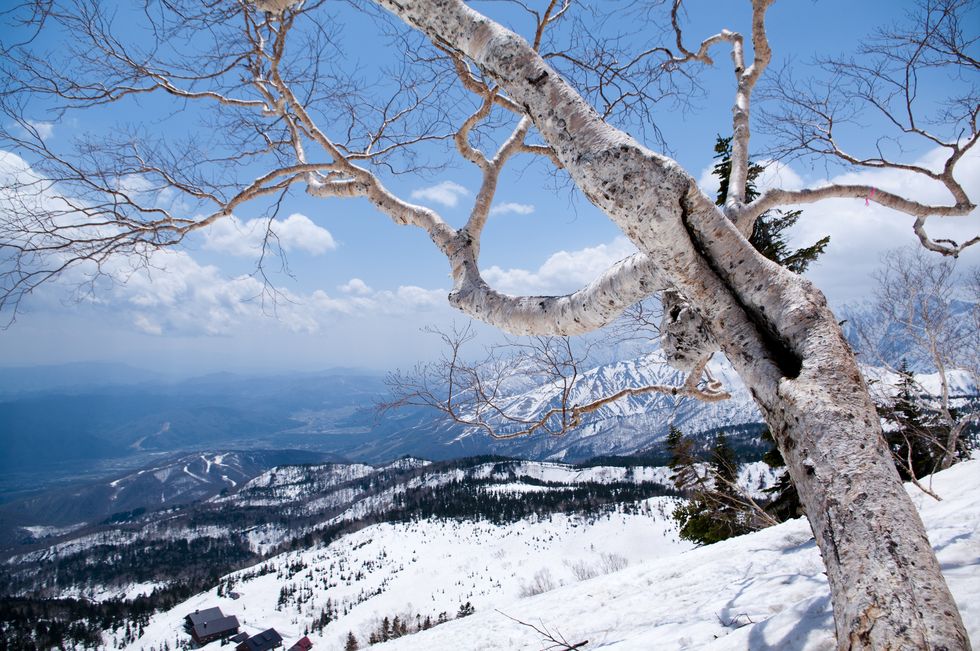 Japan Snowy Mountains