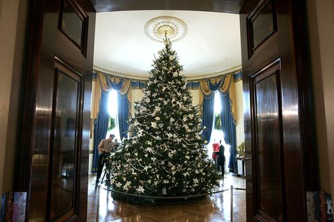 Lighting, Christmas decoration, Interior design, Christmas tree, Room, Interior design, Christmas ornament, Holiday, Ceiling, Christmas eve, 