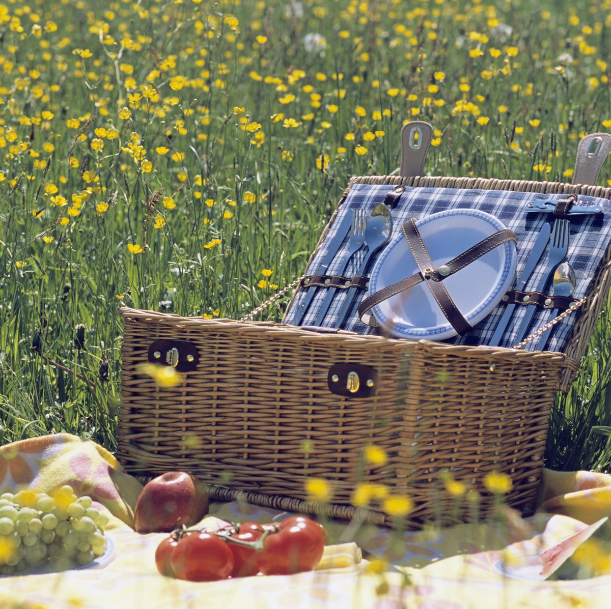 Las 10 mejores cestas de pícnic para llevar la comida