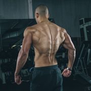 muskulöser rücken eines athleten im gym