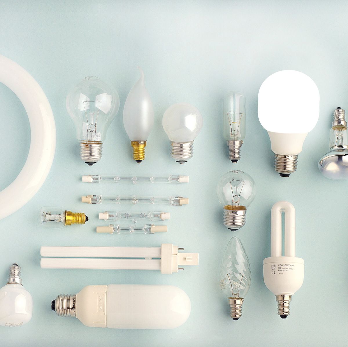 Antagelse veltalende Retaliate Different Types of Light Bulbs - Guide to Buying Light Bulbs