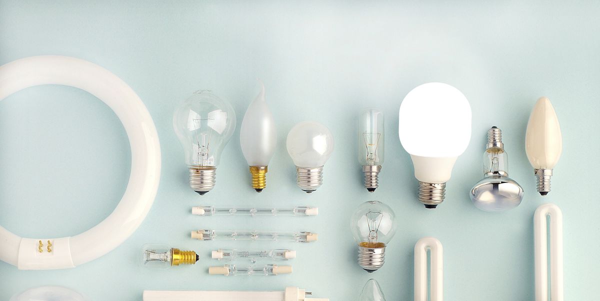 Misbruik Kom langs om het te weten Trouw Different Types of Light Bulbs - Guide to Buying Light Bulbs