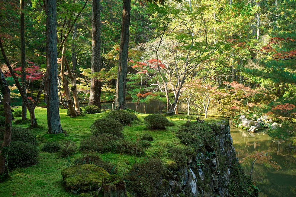 saiho ji or the moss temple, kyoto, japan. (photo by: education images/universal images group via getty images)