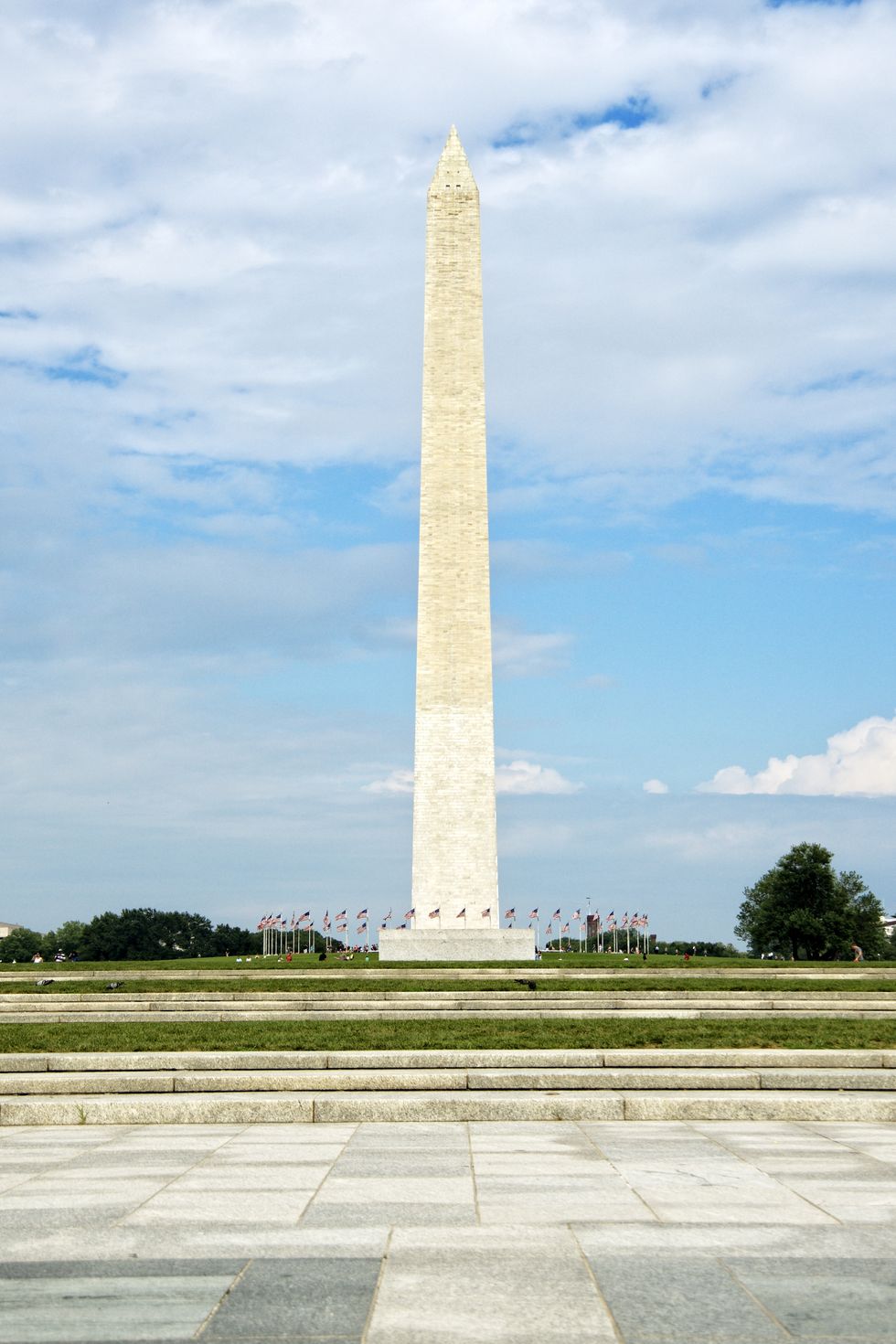 panoramic of the washington monument in washington dc, during a sunny day, with usa flags at the bottom