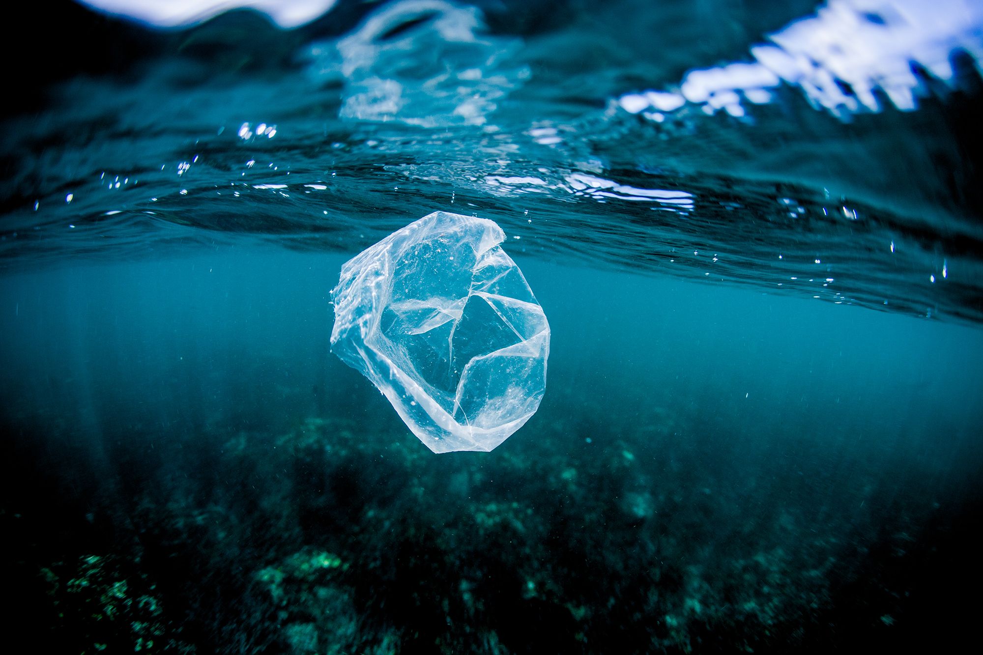 bolsa de plástico flotando en el oceano