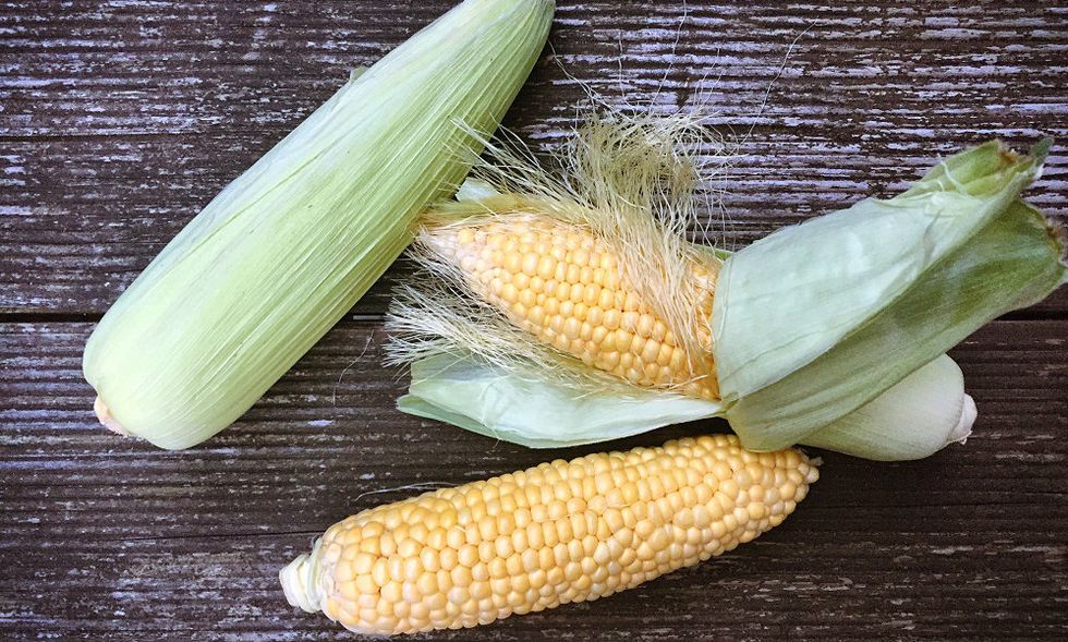 Corn on the cob, Sweet corn, Corn, Corn kernels, Corn on the cob, Vegetable, Food, Vegetarian food, Cuisine, Husk, 