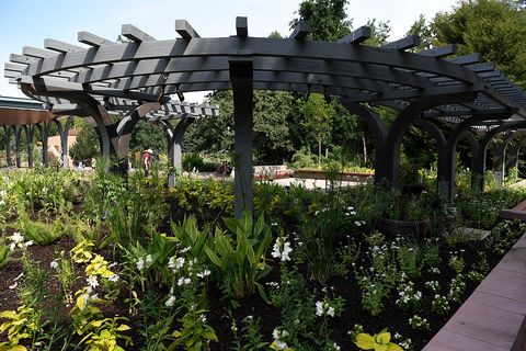 denver, co   july 26 the newly relocated all america selections garden at the denver botanic gardens july 26, 2016 photo by andy crossthe denver post via getty images