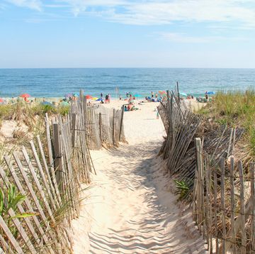 Beach, Vegetation, Shore, Coast, Sand, Sea, Grass family, Ocean, Vacation, Boardwalk, 